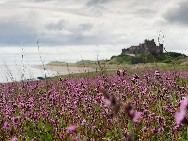 Northumberland and Lake District walking vacation