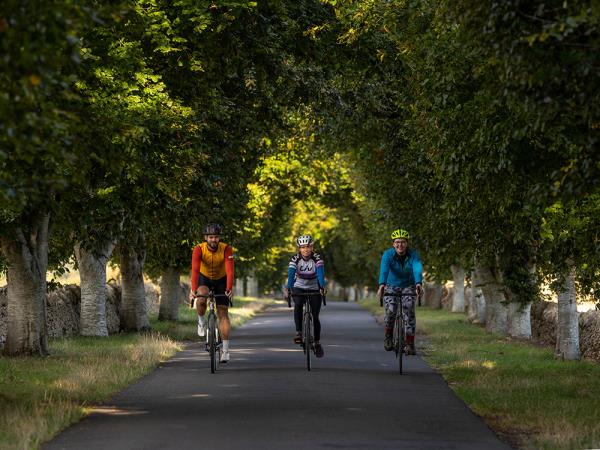 Road cycling vacation in the Cotswolds