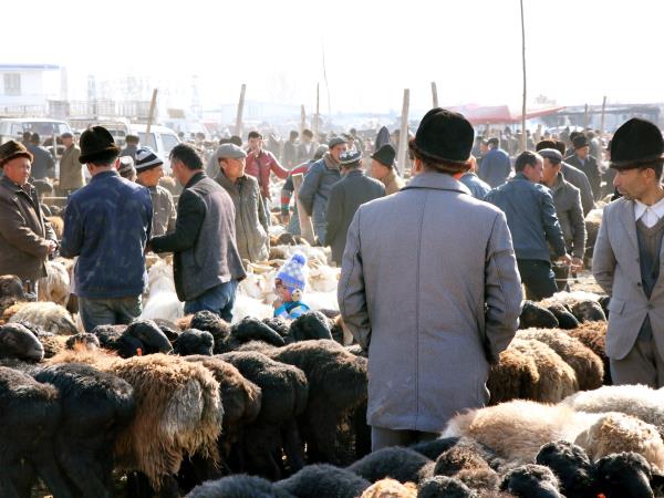 Silk Road Tour from Xian to Kashgar