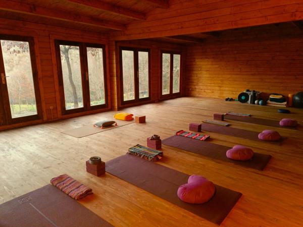 Nature walks and yoga retreat