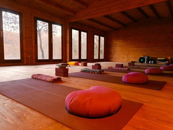 Nature walks and yoga retreat