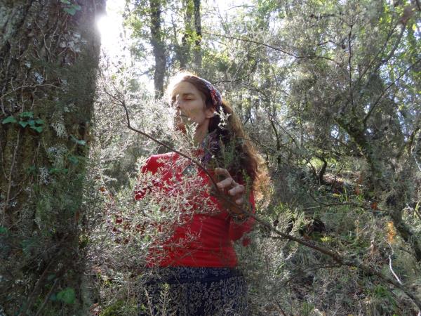 Nature walks and yoga retreat