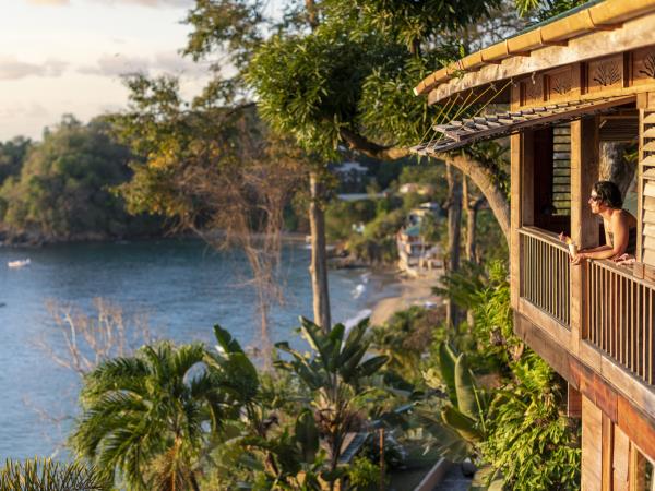 Tobago yoga retreat