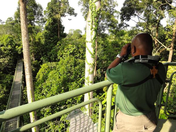 Borneo family wildlife vacation, tailor made