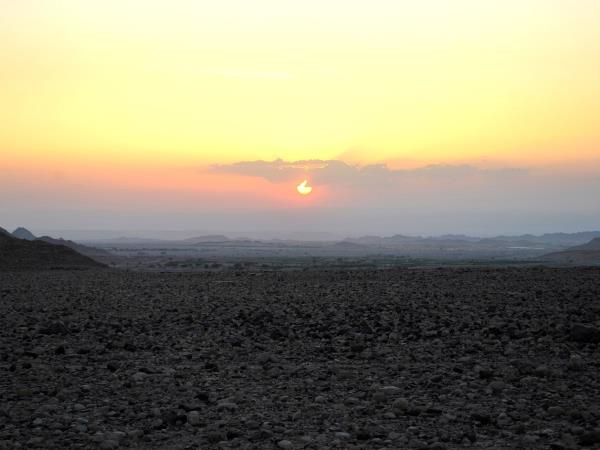 Jordan wildlife and nature tour