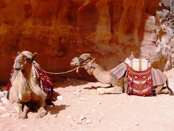 Jordan small group escorted tour