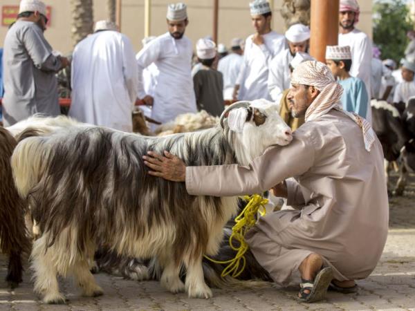 Cultural tour in Oman