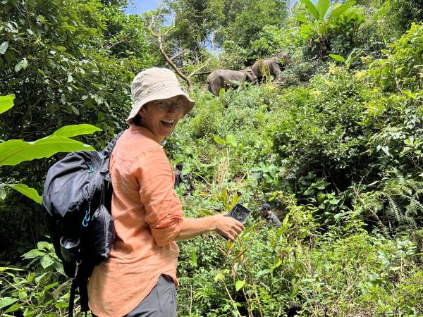 Thai cultural stay and elephant watching, short break