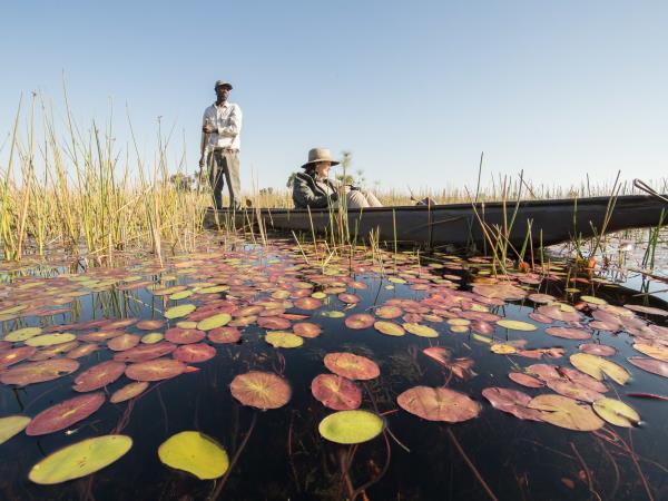 Luxury safari in Botswana with Victoria Falls 