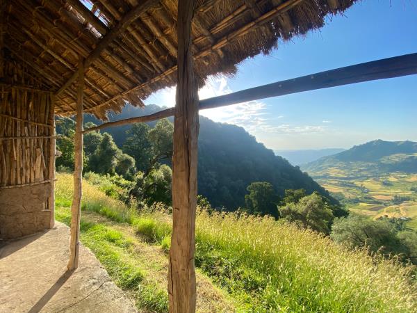Ethiopia trekking in Wof Washa forest