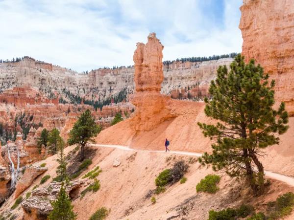 Zion, Bryce and the Grand Canyon vacation