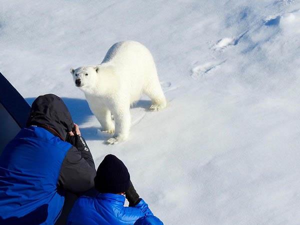 Canada to Greenland cruise, Northwest passage