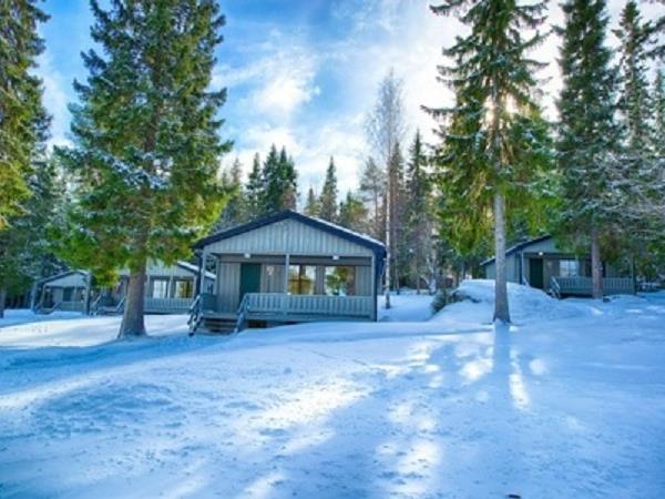 Swedish Lapland aurora short break with tree hotel