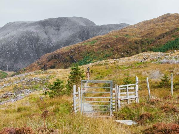 Walk The West Highland Way, Scotland 