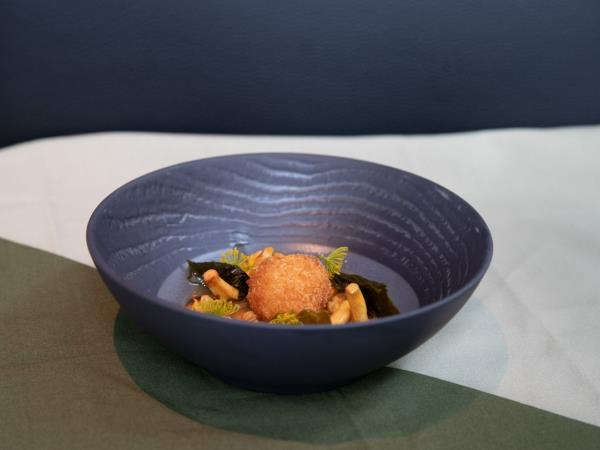 Gastronomy and Northern Lights vacation in Tromso, Norway