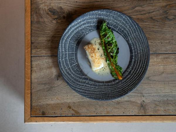 Gastronomy and Northern Lights vacation in Tromso, Norway