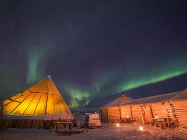 Gastronomy and Northern Lights vacation in Tromso, Norway