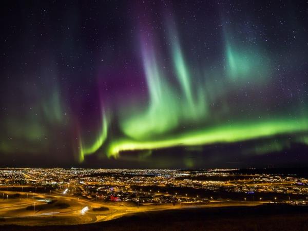 Gastronomy and northern lights vacation in Iceland