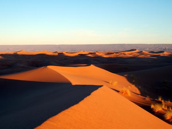 Yoga vacation in South Morocco, 10 days