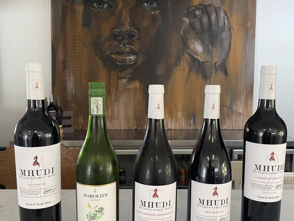 Wine and art vacation, South Africa