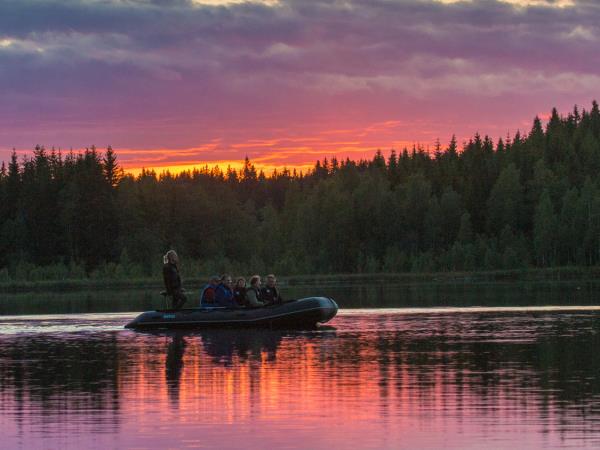 Wildlife vacation in the forests of central Sweden