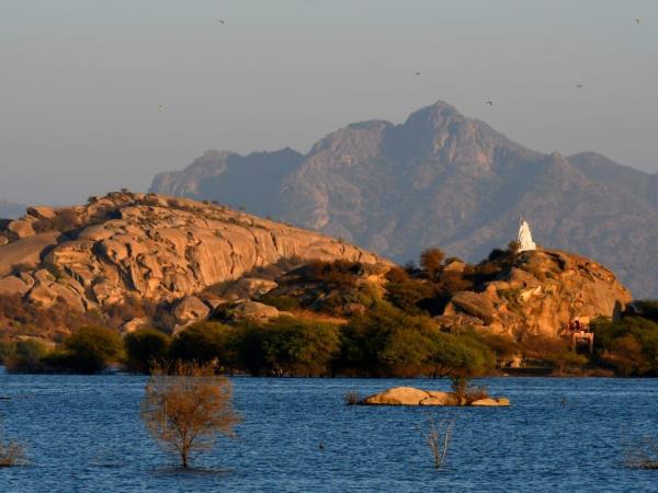 Leopard safari and culture, India