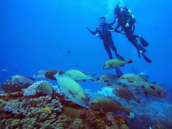 South Africa coastal adventure vacation