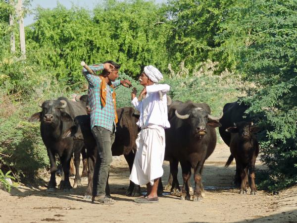 Best of Gujarat, India