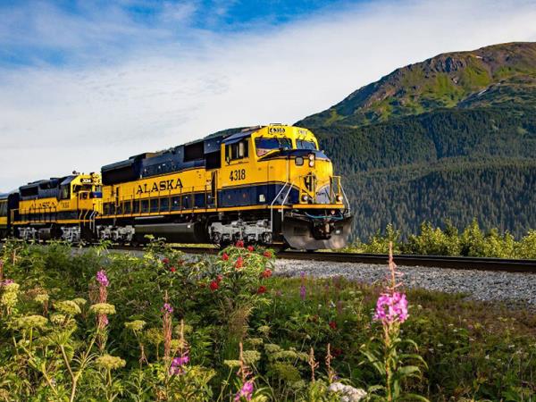 Denali adventure tour in Alaska