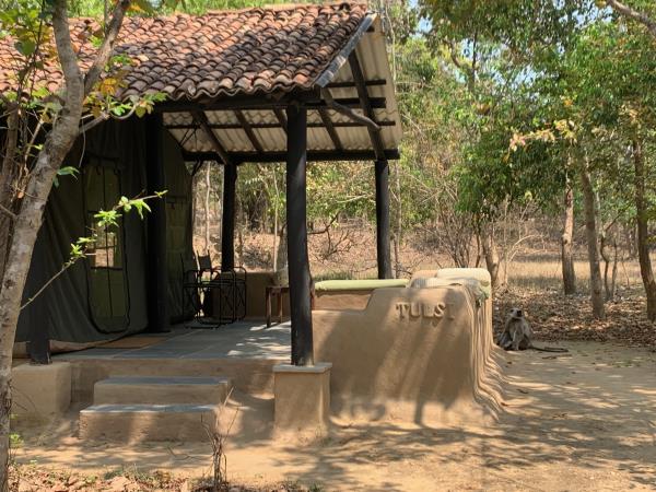 Tiger cycling safari in Kanha, India