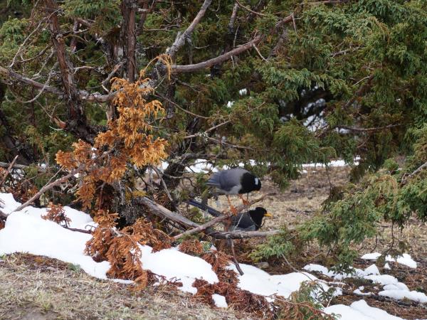 Trans Bhutan Trail walking vacation
