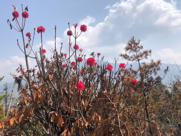 Trans Bhutan Trail walking vacation