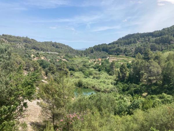 Yoga and walking retreats in Spain