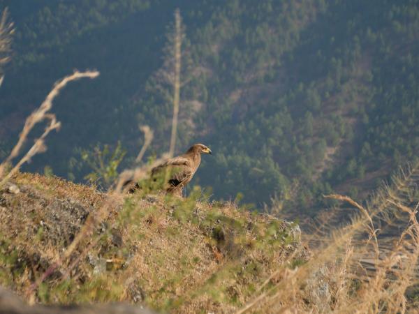 Trans Bhutan Trail walking vacation