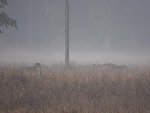 Central and Western India vacation, rural life
