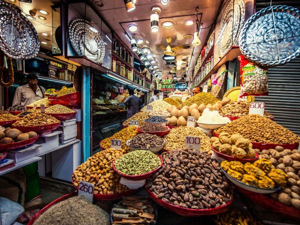 India cuture and wildlife tour