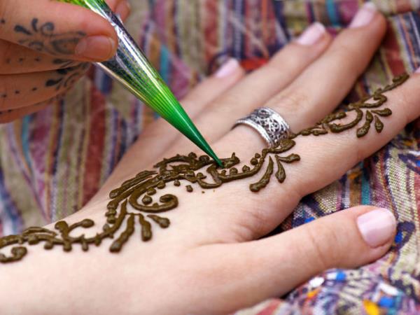India cuture and wildlife tour