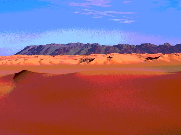 Sahara Desert expedition, Niger