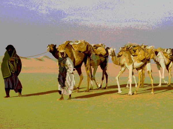 Sahara Desert expedition, Niger