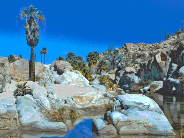 Baja and the Copper Canyon, Mexico