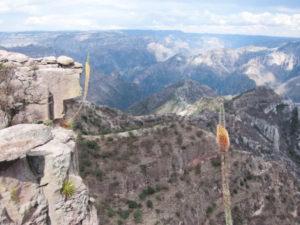 Baja and the Copper Canyon, Mexico