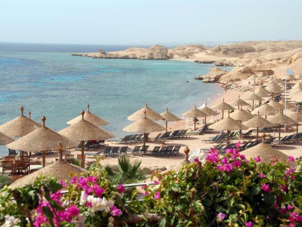 Egypt highlights and diving vacation