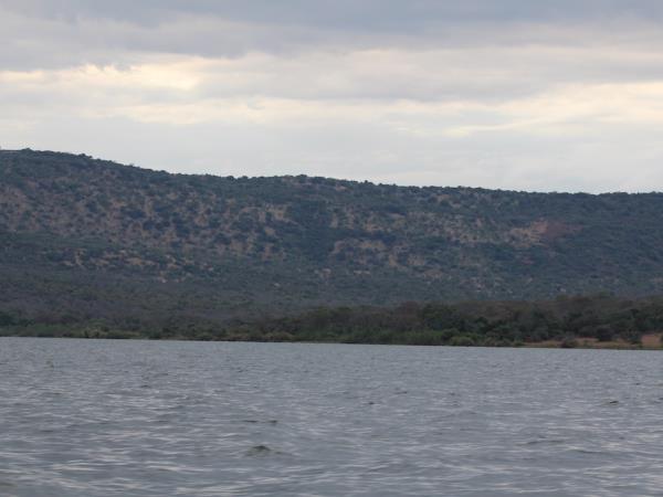 Rwanda express wildlife tour