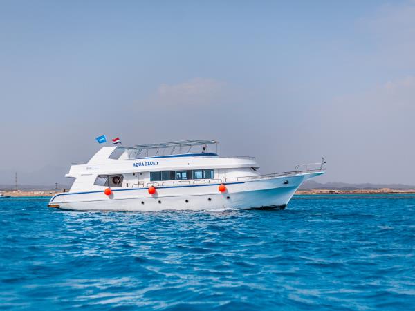 Egypt highlights and diving vacation