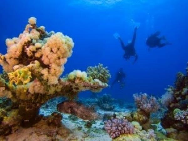 Egypt highlights and diving vacation