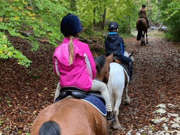 Horse riding and sustainability holiday in the South Downs, UK