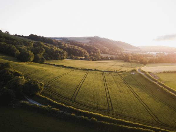 Horse riding and sustainability holiday in the South Downs, UK