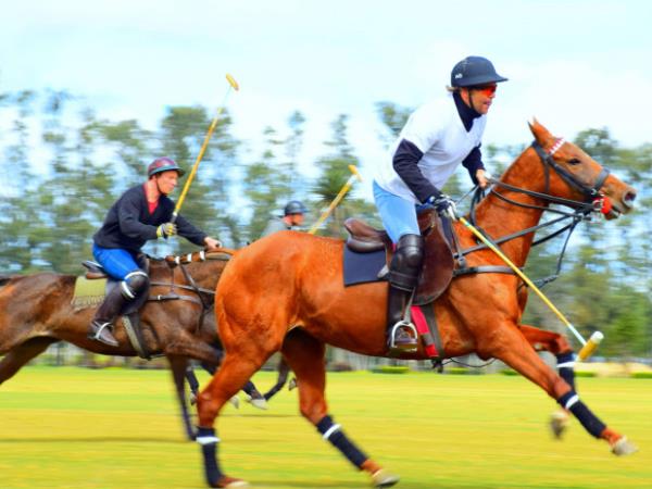Horse riding and sustainability holiday in the South Downs, UK