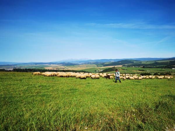 Way of St James walking holiday in Slovakia