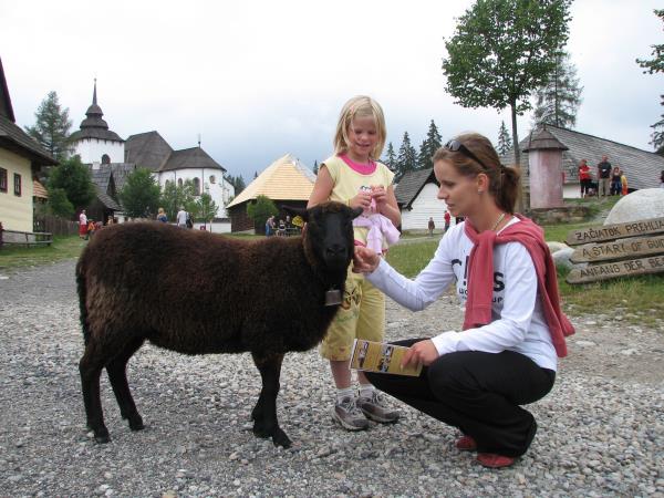 High Tatras trail walking vacation in Slovakia